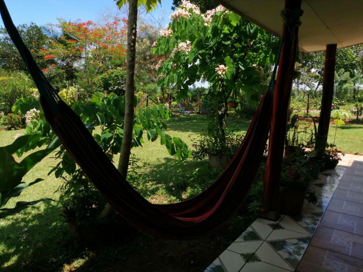 Hotel Gitana Corcovado, Y Tour Operador Drakes Bay Exteriér fotografie
